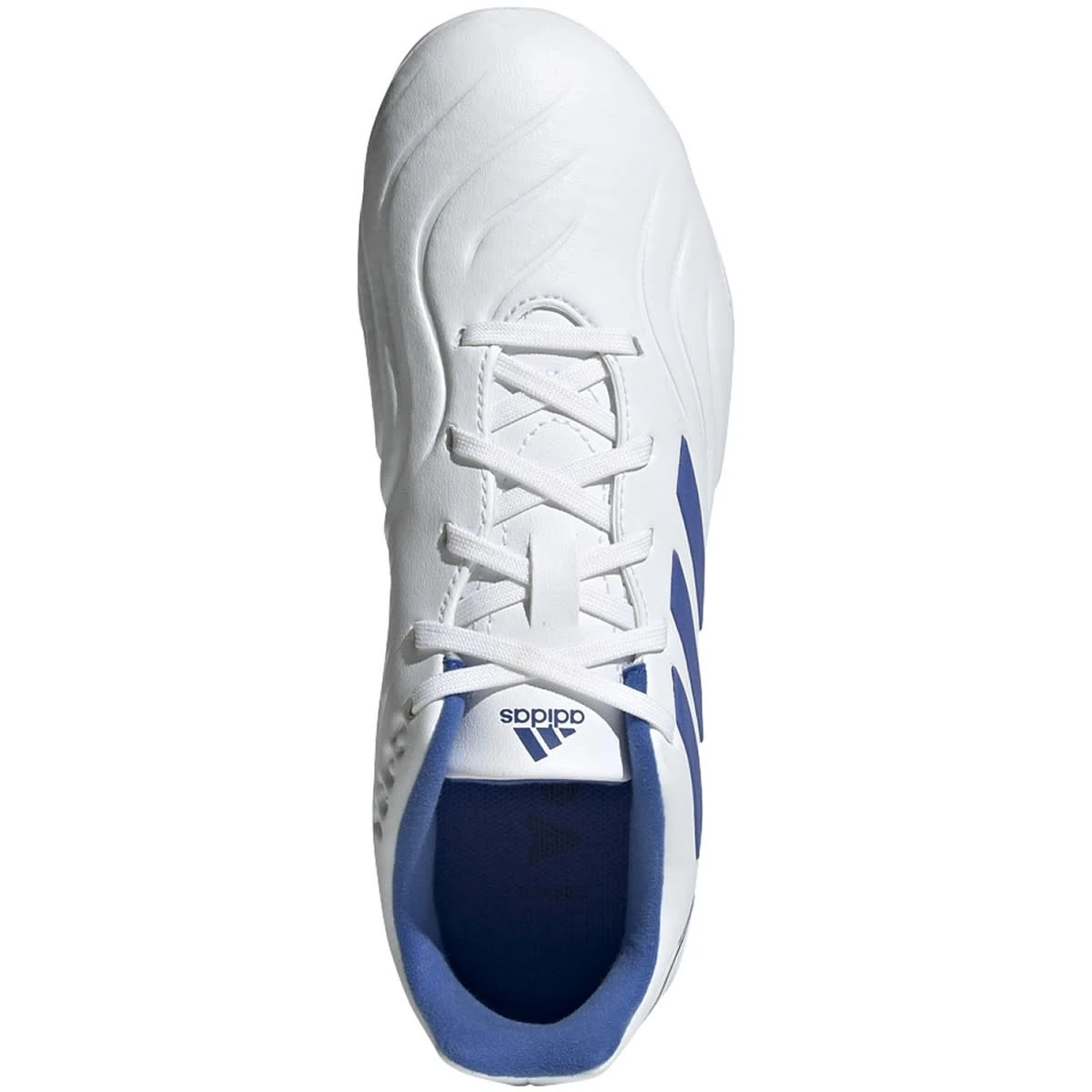 Adidas Copa Sense.3 FG Jr (White/Blue) - Image 2
