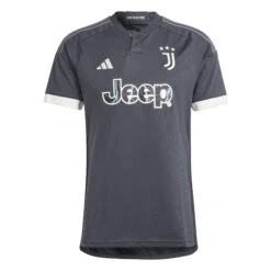 Adidas Juventus 23/24 Third Jersey (Gray/White)