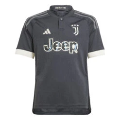 Adidas Juventus 23/24 Third Jersey Youth (Gray/White)