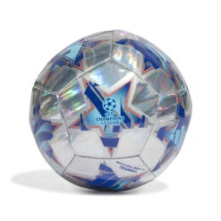 Adidas UCL 23/24 Training Foil Ball (Silver/Blue)