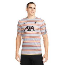 Nike Liverpool 21/22 Prematch Jersey (Gray)